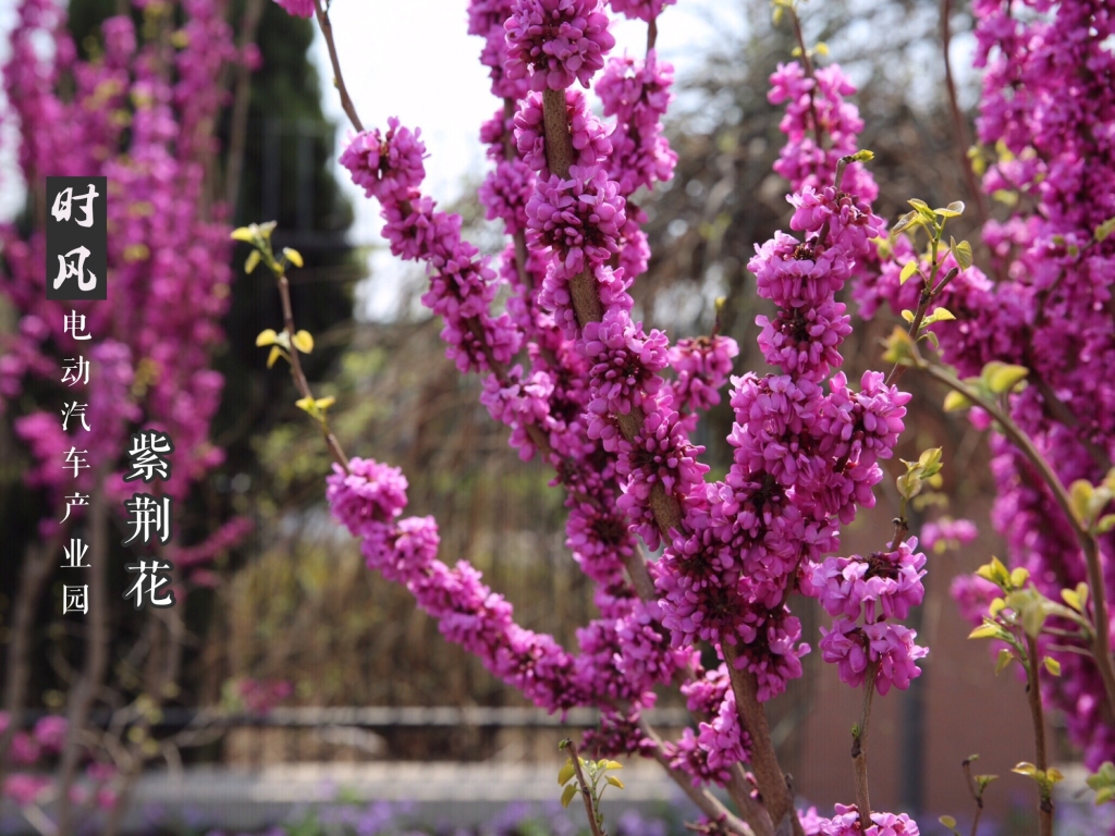 �Ͼ�������������