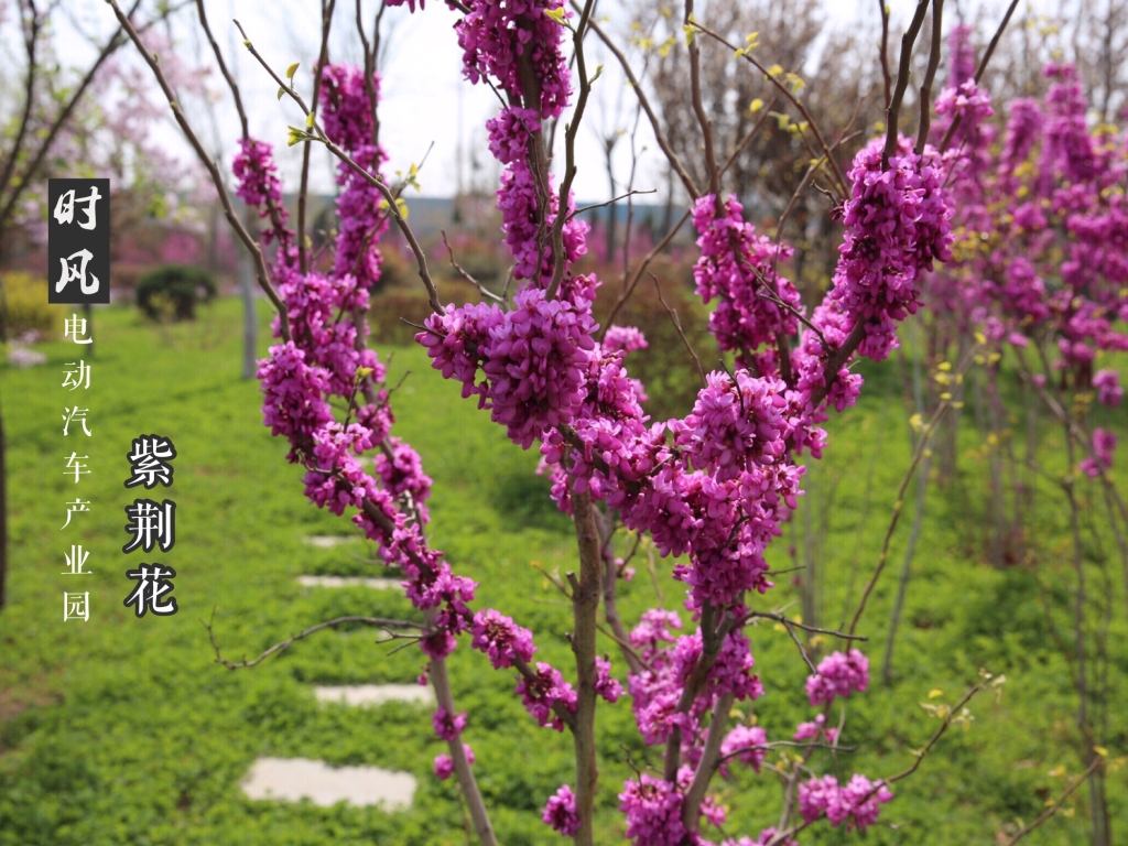 ����Ǯ��-��ȫ֧�����ߵ綯��ҵ԰�Ͼ�������������